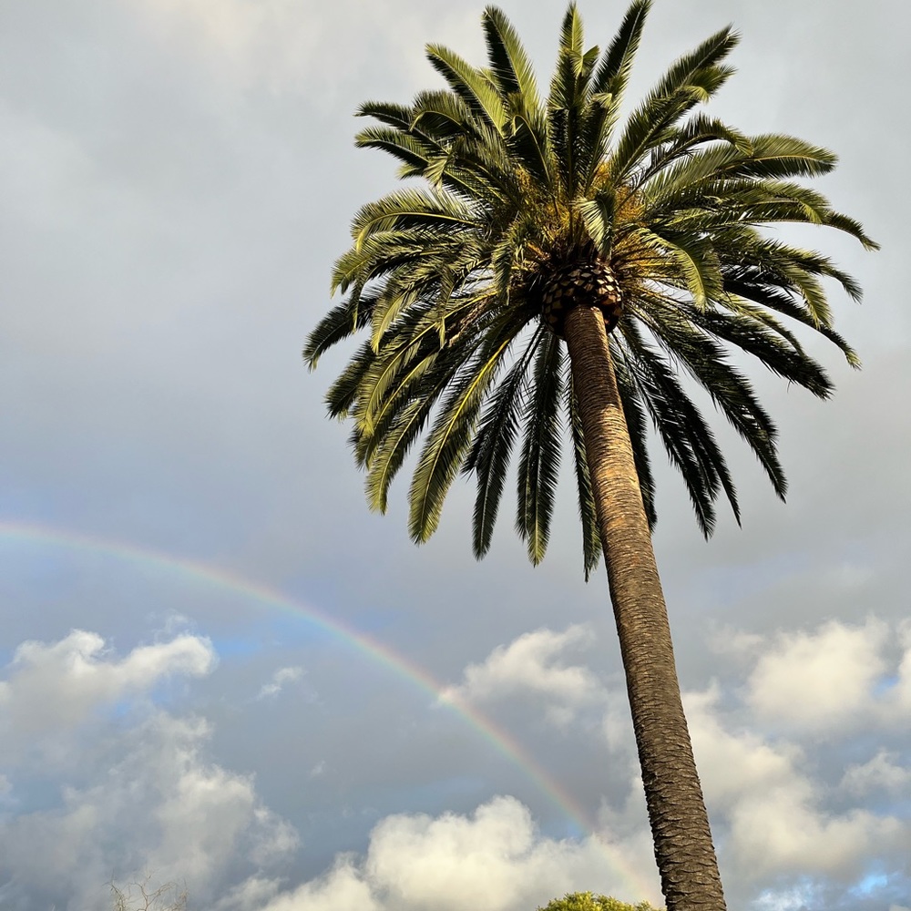 Meet your Posher, Renee